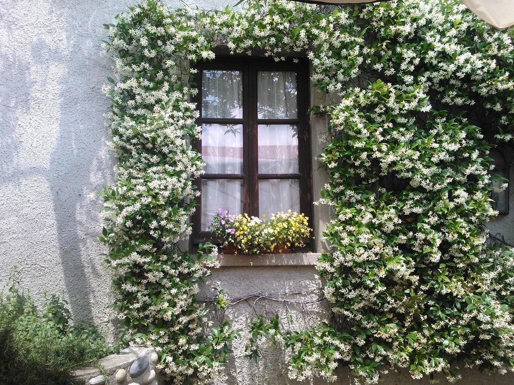 Agriturismo Cassinazza Orsenigo Værelse billede