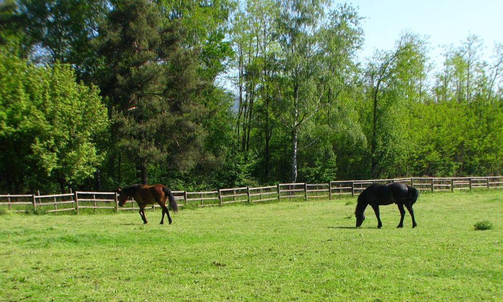 Agriturismo Cassinazza Orsenigo Eksteriør billede